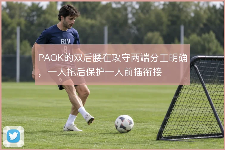 PAOK的双后腰在攻守两端分工明确,一人拖后保护一人前插衔接